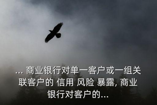 ... 商業(yè)銀行對單一客戶或一組關聯(lián)客戶的 信用 風險 暴露, 商業(yè)銀行對客戶的...