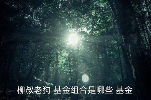 柳叔老狗 基金組合是哪些 基金