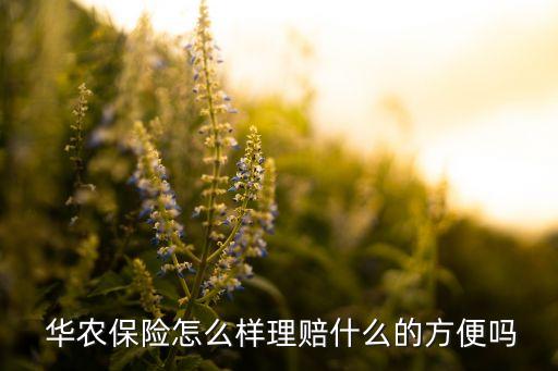  華農(nóng)保險(xiǎn)怎么樣理賠什么的方便嗎