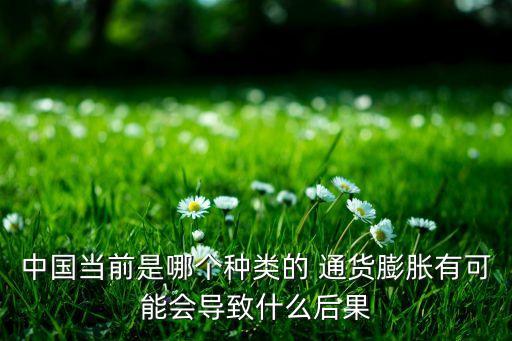 中國當(dāng)前是哪個種類的 通貨膨脹有可能會導(dǎo)致什么后果