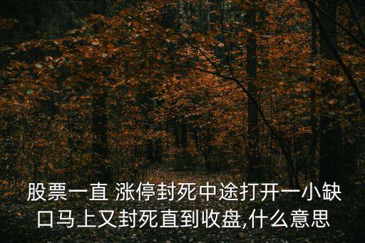  股票一直 漲停封死中途打開一小缺口馬上又封死直到收盤,什么意思