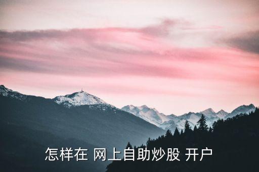 怎樣在 網(wǎng)上自助炒股 開戶