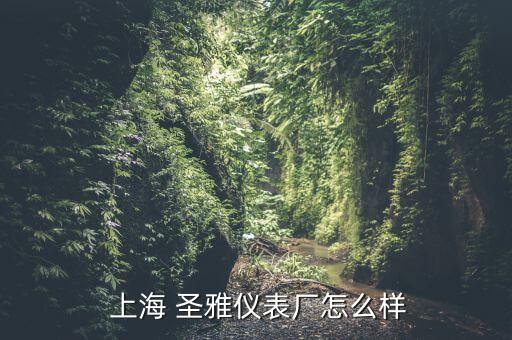 上海圣雅資產管理有限公司