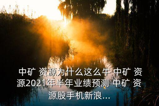  中礦 資源為什么這么牛 中礦 資源2021年半年業(yè)績(jī)預(yù)測(cè) 中礦 資源股手機(jī)新浪...