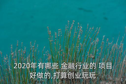 2020年有哪些 金融行業(yè)的 項(xiàng)目好做的,打算創(chuàng)業(yè)玩玩