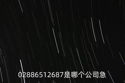 02886512687是哪個公司急