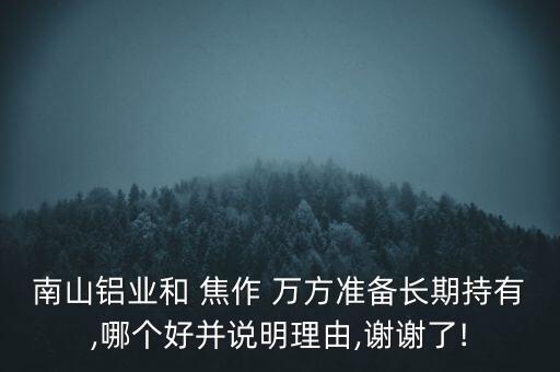 南山鋁業(yè)和 焦作 萬(wàn)方準(zhǔn)備長(zhǎng)期持有,哪個(gè)好并說(shuō)明理由,謝謝了!