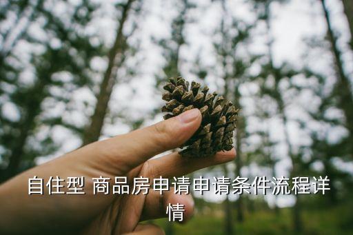  自住型 商品房申請(qǐng)申請(qǐng)條件流程詳情