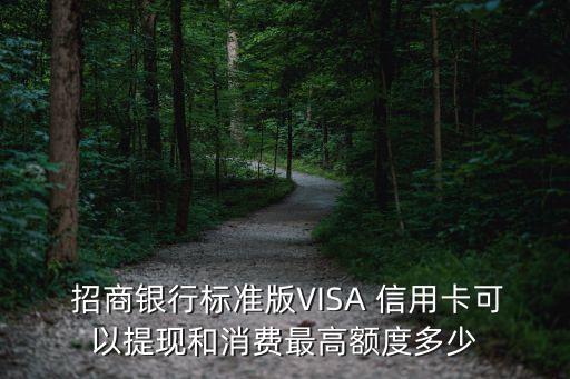 招商銀行visa信用卡取現(xiàn)