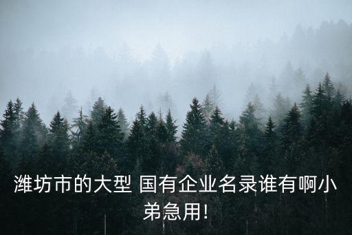 濰坊市的大型 國(guó)有企業(yè)名錄誰有啊小弟急用!