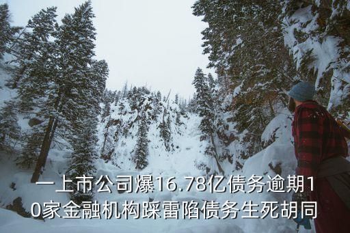 一上市公司爆16.78億債務(wù)逾期10家金融機構(gòu)踩雷陷債務(wù)生死胡同