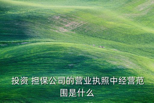  投資 擔(dān)保公司的營業(yè)執(zhí)照中經(jīng)營范圍是什么