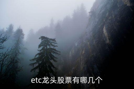 etc龍頭股票有哪幾個