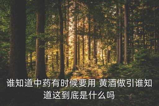 誰(shuí)知道中藥有時(shí)候要用 黃酒做引誰(shuí)知道這到底是什么嗎