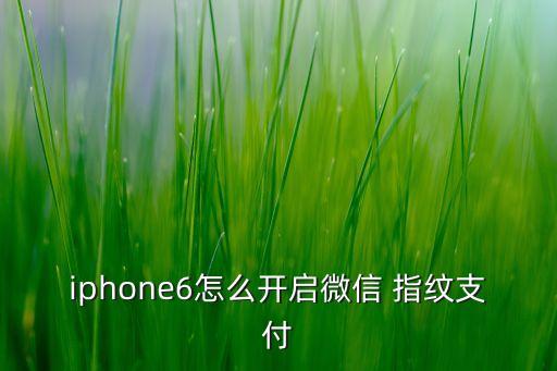 iphone6怎么開(kāi)啟微信 指紋支付