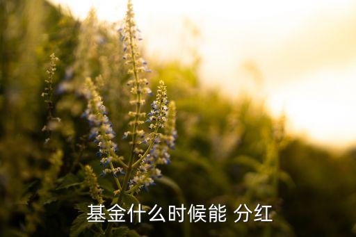  基金什么時(shí)候能 分紅