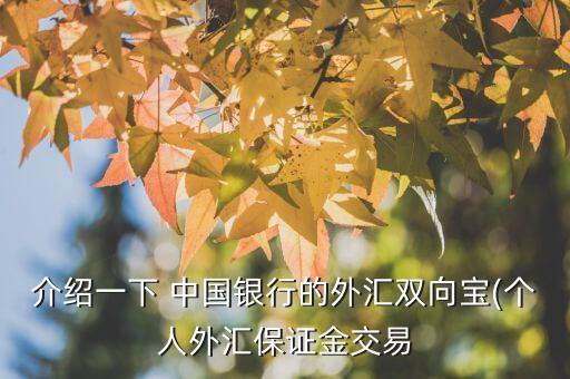 介紹一下 中國銀行的外匯雙向?qū)?個人外匯保證金交易