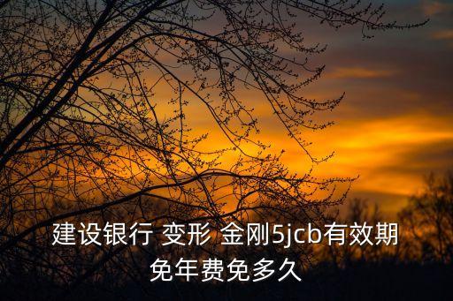 建設(shè)銀行 變形 金剛5jcb有效期免年費(fèi)免多久