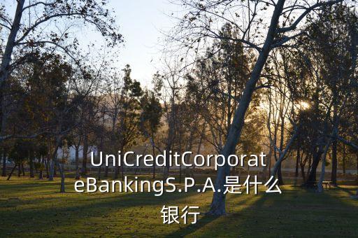 UniCreditCorporateBankingS.P.A.是什么 銀行