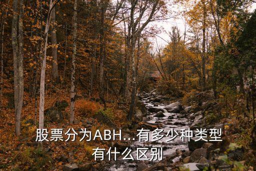  股票分為ABH...有多少種類(lèi)型有什么區(qū)別