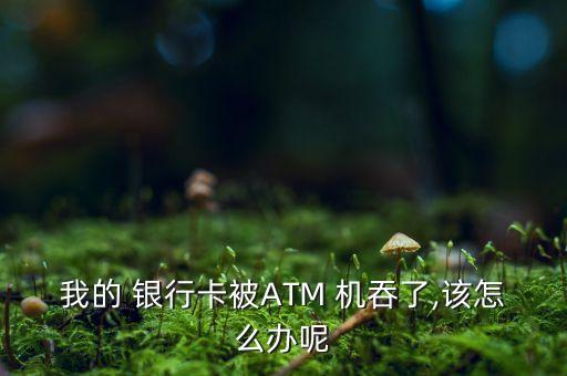 我的 銀行卡被ATM 機吞了,該怎么辦呢