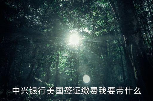 中興銀行美國簽證繳費(fèi)我要帶什么