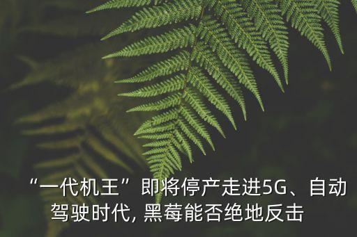 黑莓公司被收購(gòu),今年黑莓收購(gòu)價(jià)格表