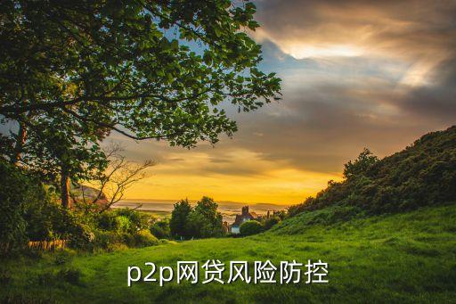 p2p網(wǎng)貸風(fēng)險防控