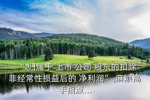 “ 歸屬于 上市 公司 股東的扣除非經(jīng)常性損益后的 凈利潤”,麻煩高手指點(diǎn)...