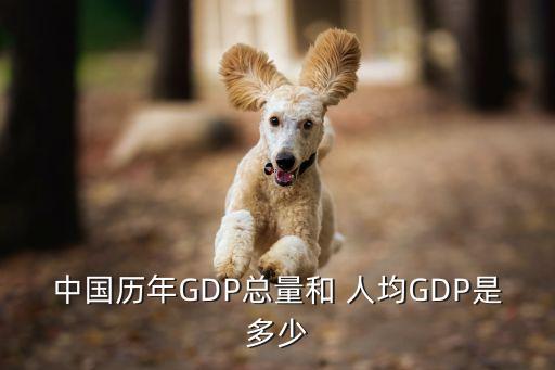 中國2013年人均gdp數(shù)據(jù),2013年四川各縣人均GDP