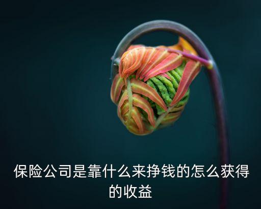  保險(xiǎn)公司是靠什么來掙錢的怎么獲得的收益