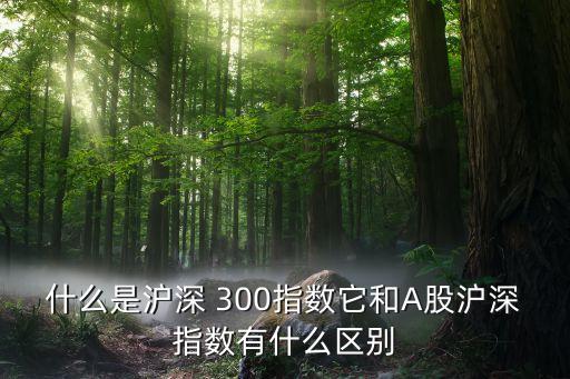 怎么看滬深300股票,同花順怎么看滬深所有股票