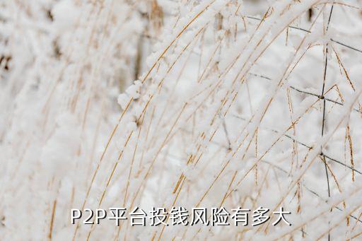 P2P平臺(tái)投錢風(fēng)險(xiǎn)有多大