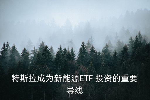 特斯拉成為新能源ETF 投資的重要導線