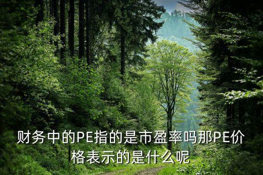 財務(wù)中的PE指的是市盈率嗎那PE價格表示的是什么呢