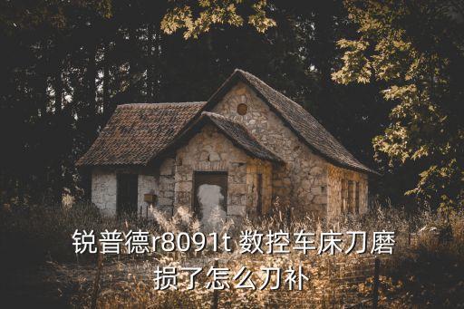 南京銳普德數(shù)控設(shè)備股份有限公司