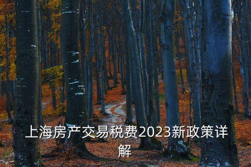  上海房產交易稅費2023新政策詳解