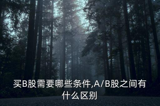 買(mǎi)B股需要哪些條件,A/B股之間有什么區(qū)別