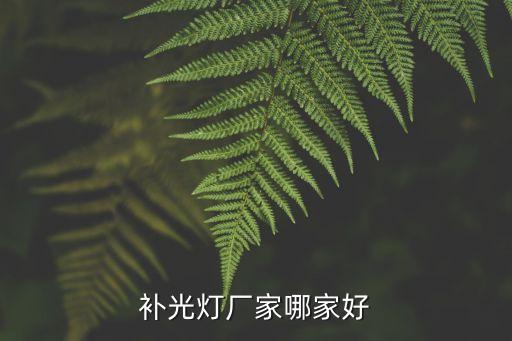 補(bǔ)光燈廠家哪家好