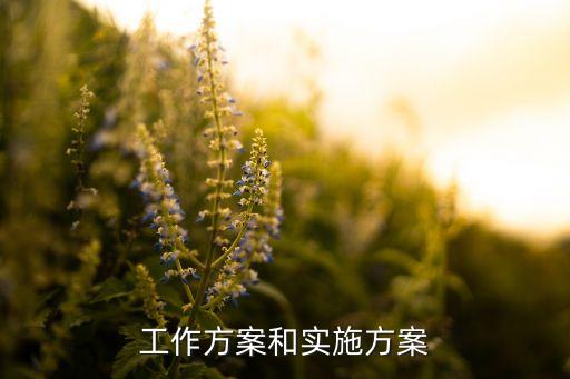 工作方案和實(shí)施方案