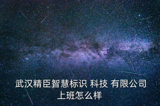  武漢精臣智慧標(biāo)識 科技 有限公司上班怎么樣