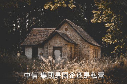  中信 集團(tuán)是國企還是私營