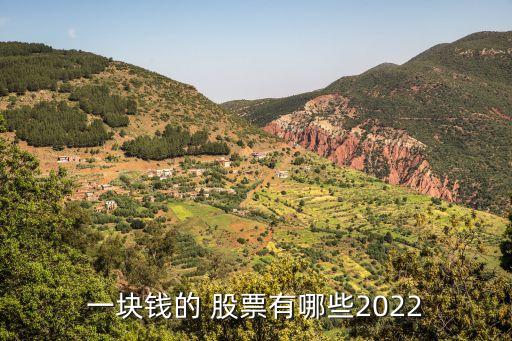 一塊錢(qián)的 股票有哪些2022