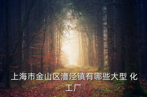 上海德聯(lián)化工有限公司地址,長(zhǎng)春德聯(lián)化工有限公司怎么樣