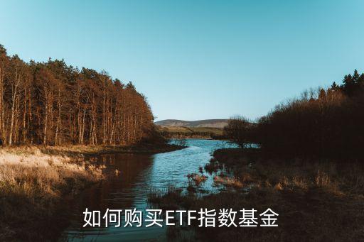 如何購(gòu)買(mǎi)ETF指數(shù)基金