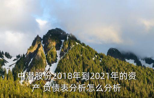 中潛股份2018年到2021年的資產(chǎn) 負(fù)債表分析怎么分析