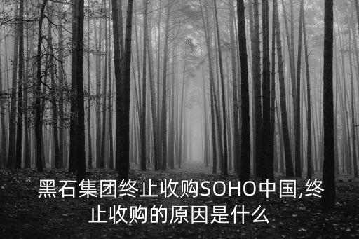  黑石集團(tuán)終止收購(gòu)SOHO中國(guó),終止收購(gòu)的原因是什么