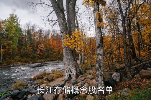 長江存儲(chǔ)概念股名單