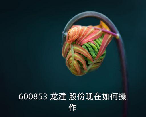 600853 龍建 股份現(xiàn)在如何操作