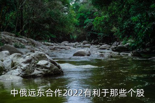 中俄遠(yuǎn)東合作2022有利于那些個(gè)股